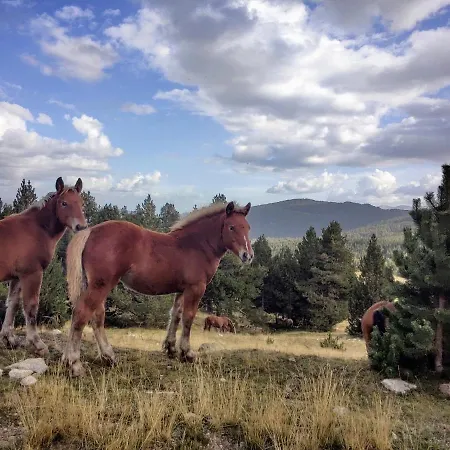 Pas De La Pera بيت ضيافة 3*